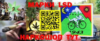 амф Сланцы