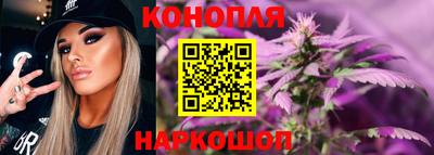 амф Сланцы