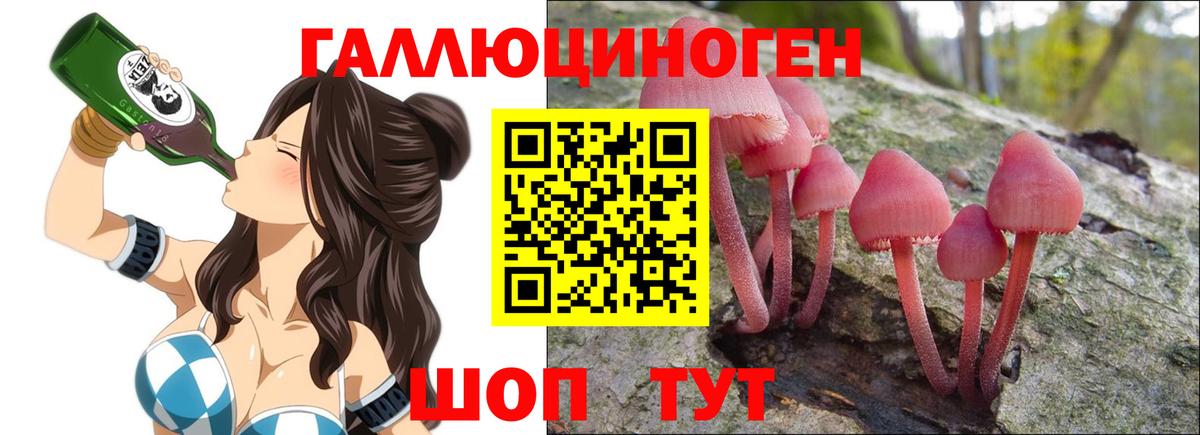 Электросталь  Псилоцибиновые грибы Psilocybine cubensis  Вход с VPN 